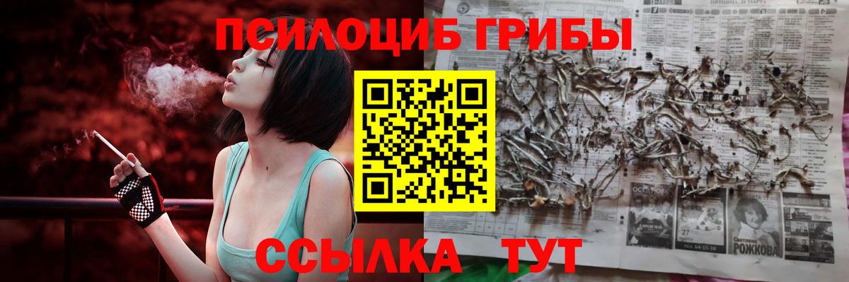 Сергиев Посад  Галлюциногенные грибы Cubensis  Вход с VPN 